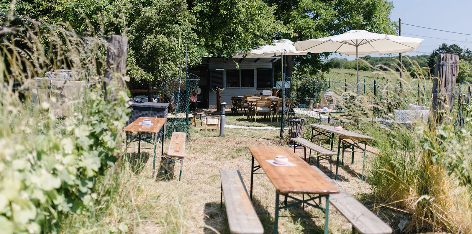 der-weingarten-kontakt
